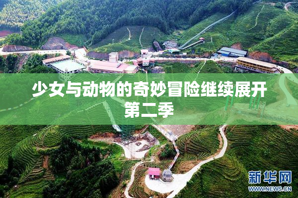 少女与动物的奇妙冒险继续展开第二季