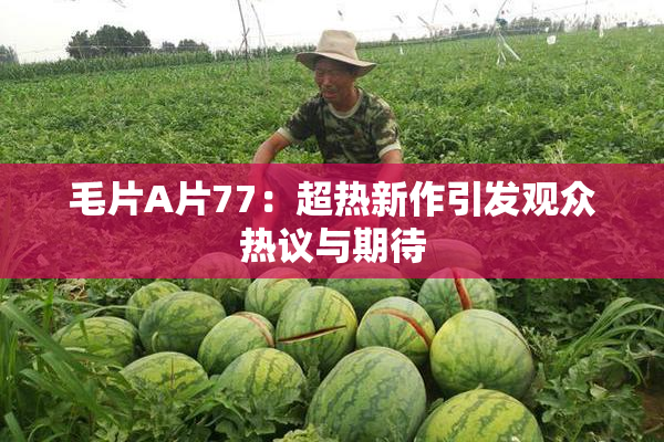 毛片A片77：超热新作引发观众热议与期待