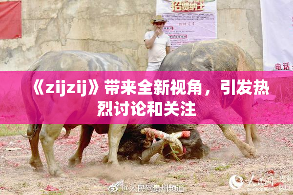 《zijzij》带来全新视角，引发热烈讨论和关注