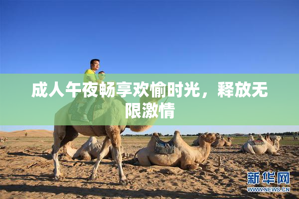 成人午夜畅享欢愉时光，释放无限激情