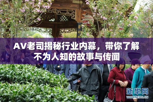 AV老司揭秘行业内幕，带你了解不为人知的故事与传闻
