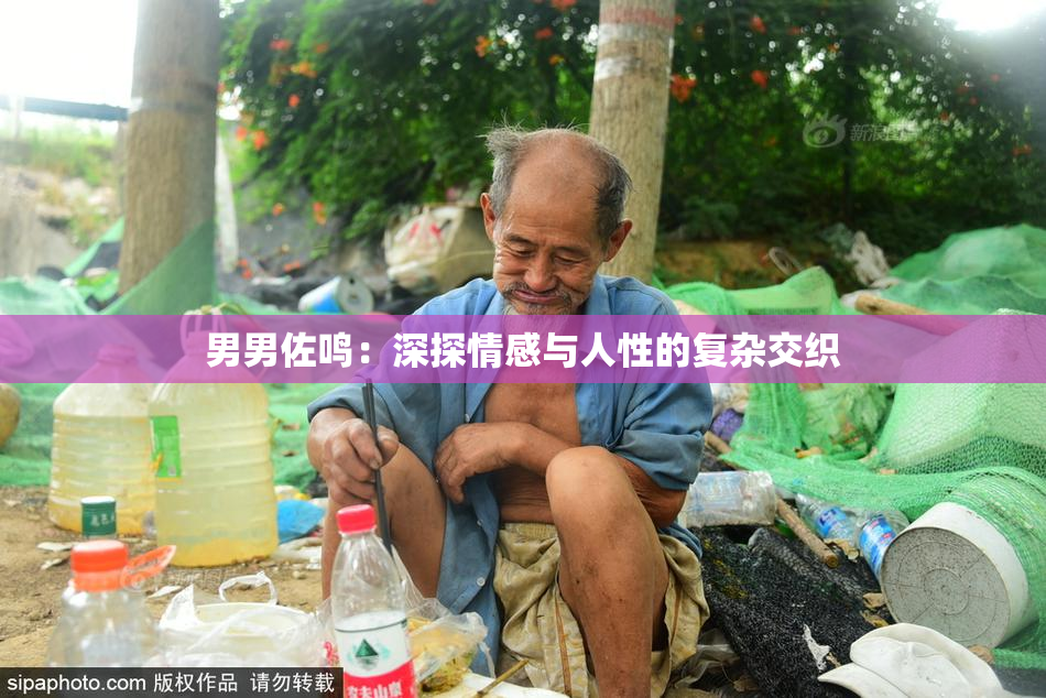 男男佐鸣：深探情感与人性的复杂交织