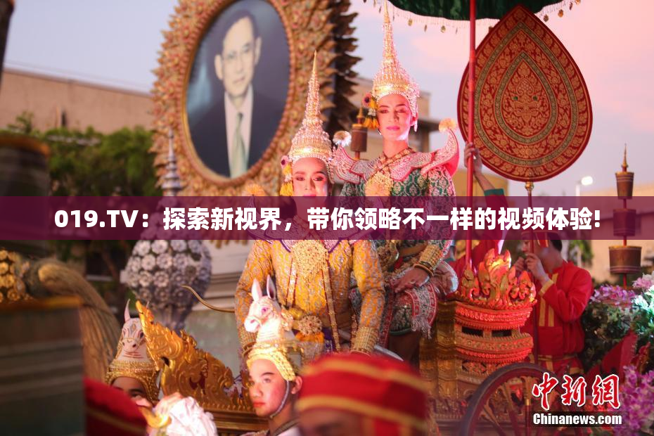 019.TV：探索新视界，带你领略不一样的视频体验!
