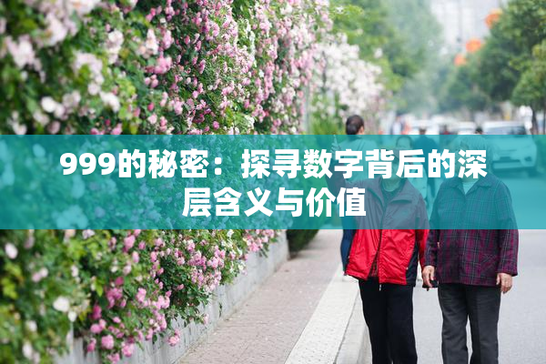 999的秘密：探寻数字背后的深层含义与价值