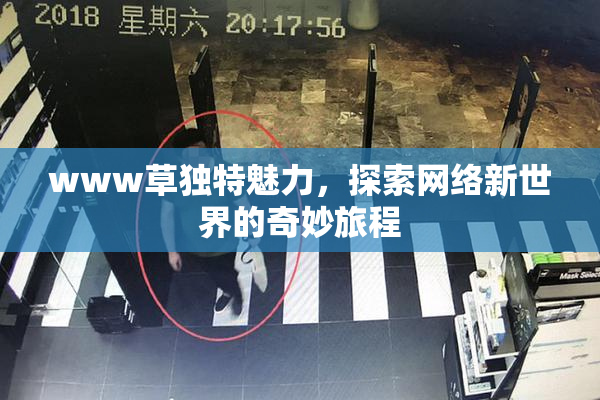 www草独特魅力，探索网络新世界的奇妙旅程