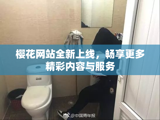 樱花网站全新上线，畅享更多精彩内容与服务