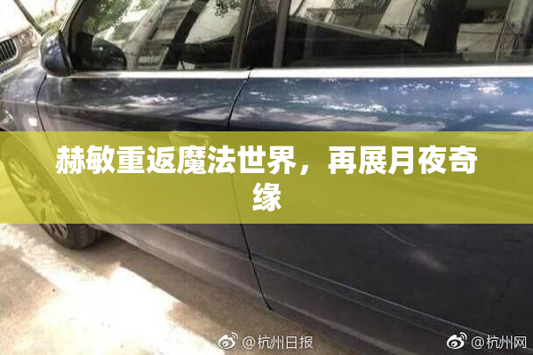 赫敏重返魔法世界，再展月夜奇缘