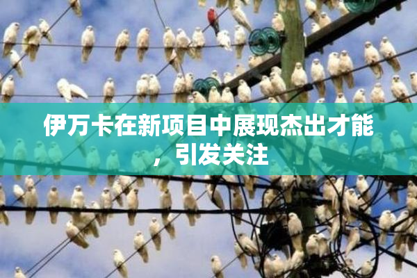 伊万卡在新项目中展现杰出才能，引发关注