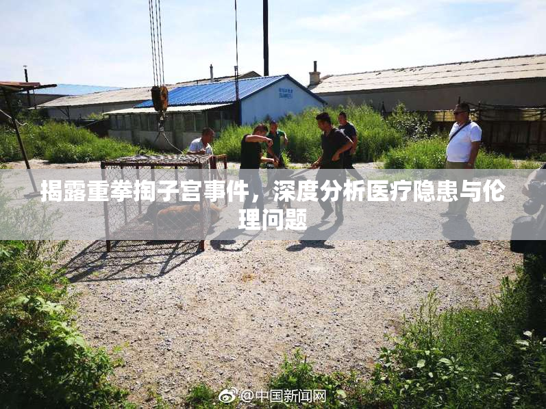 揭露重拳掏子宫事件，深度分析医疗隐患与伦理问题