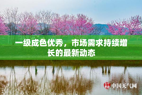 一级成色优秀，市场需求持续增长的最新动态
