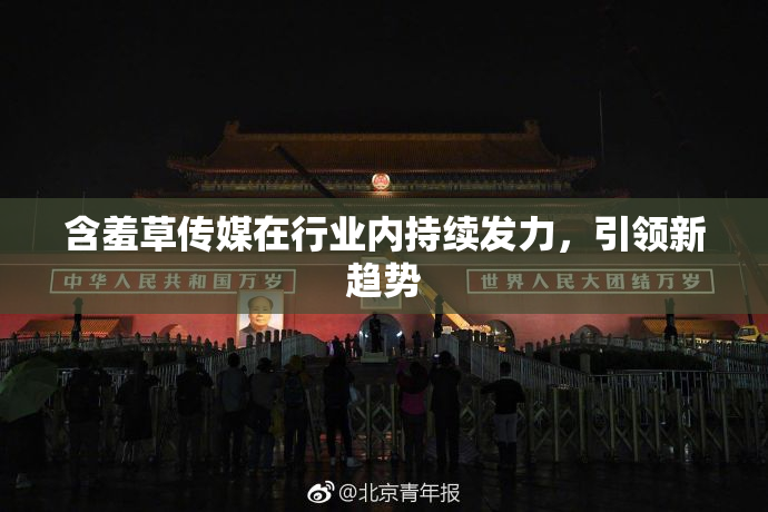 含羞草传媒在行业内持续发力，引领新趋势