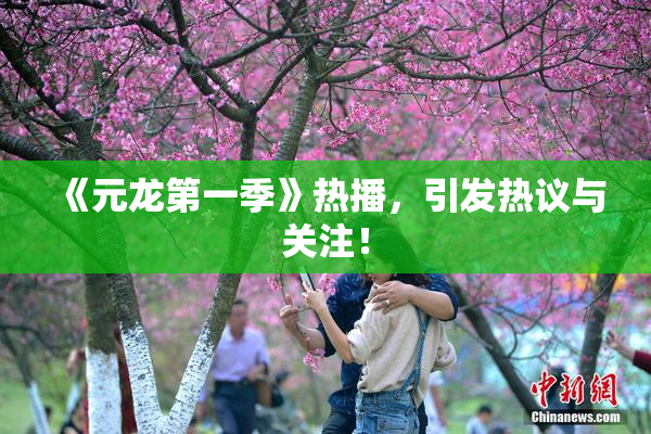 《元龙第一季》热播，引发热议与关注！