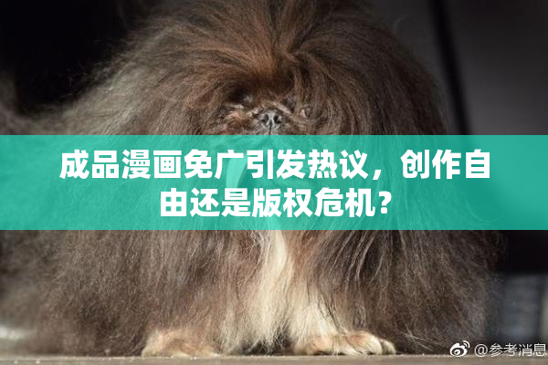 成品漫画免广引发热议，创作自由还是版权危机？