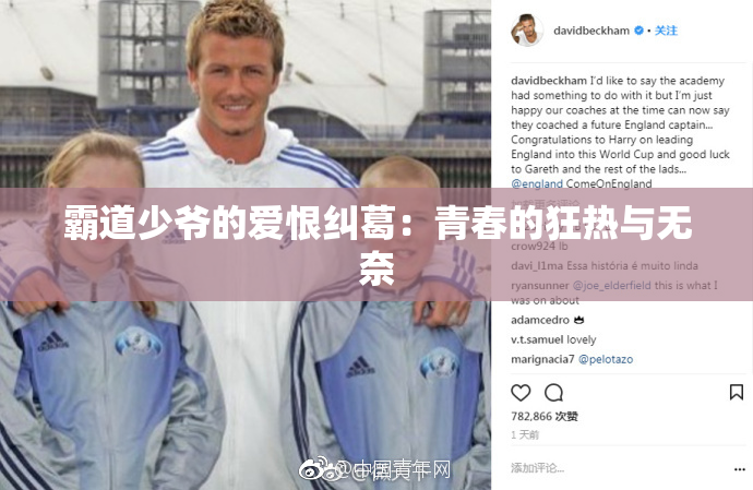 霸道少爷的爱恨纠葛：青春的狂热与无奈