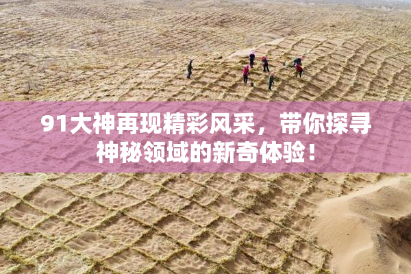 91大神再现精彩风采，带你探寻神秘领域的新奇体验！