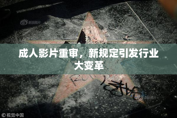 成人影片重审，新规定引发行业大变革