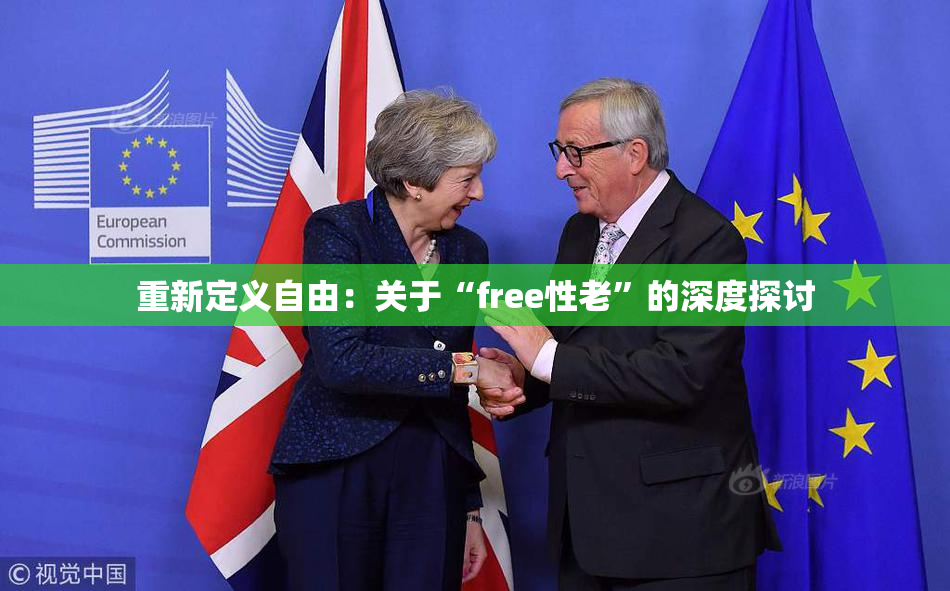 重新定义自由：关于“free性老”的深度探讨