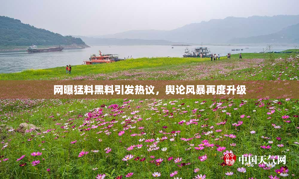 网曝猛料黑料引发热议，舆论风暴再度升级