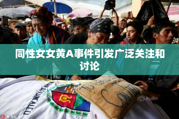同性女女黄A事件引发广泛关注和讨论