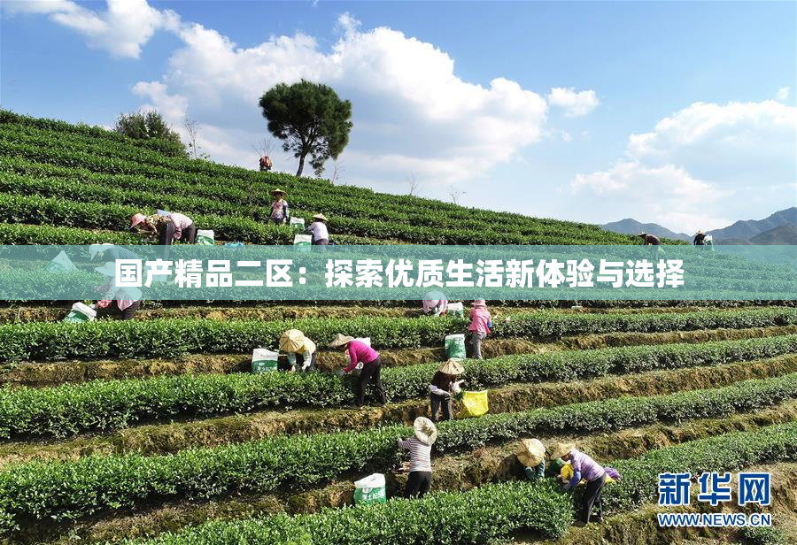 国产精品二区：探索优质生活新体验与选择