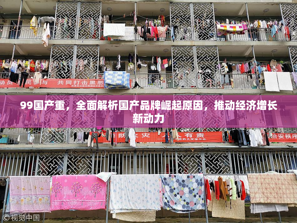 99国产重，全面解析国产品牌崛起原因，推动经济增长新动力