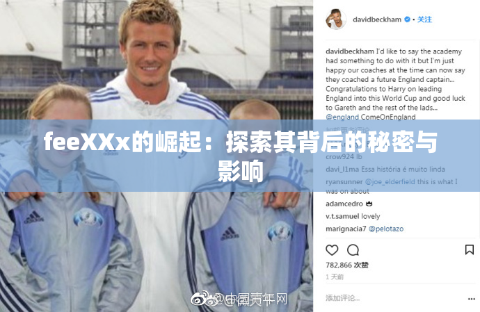 feeXXx的崛起：探索其背后的秘密与影响