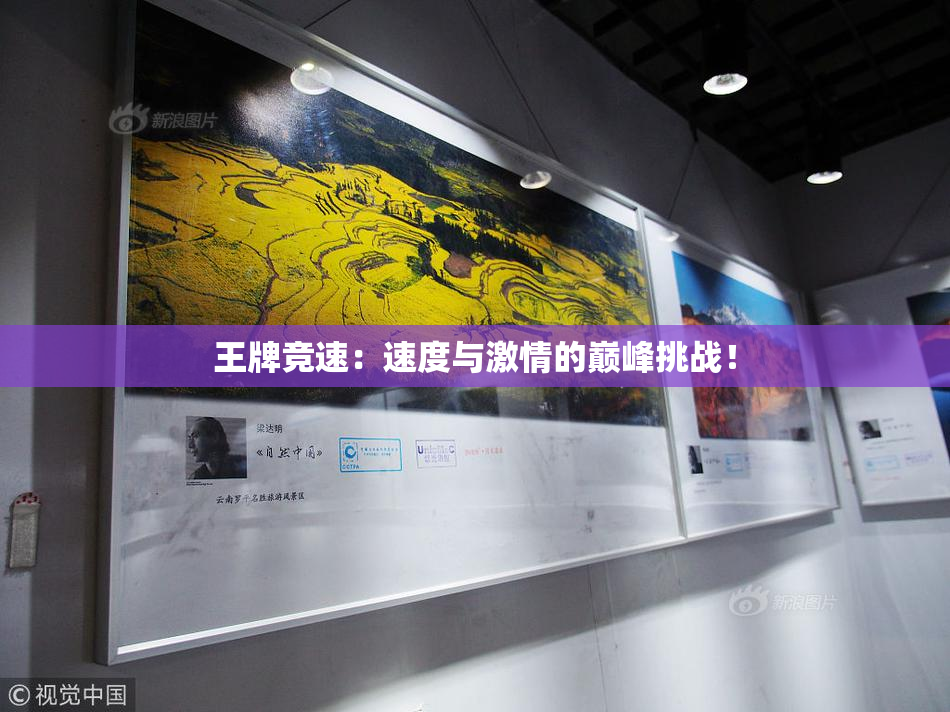 王牌竞速：速度与激情的巅峰挑战！