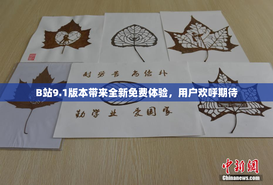 B站9.1版本带来全新免费体验，用户欢呼期待