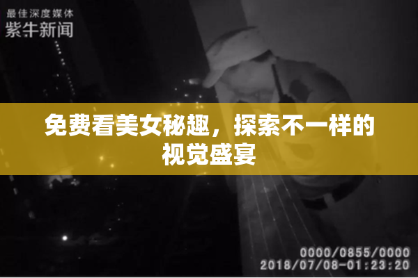 免费看美女秘趣，探索不一样的视觉盛宴