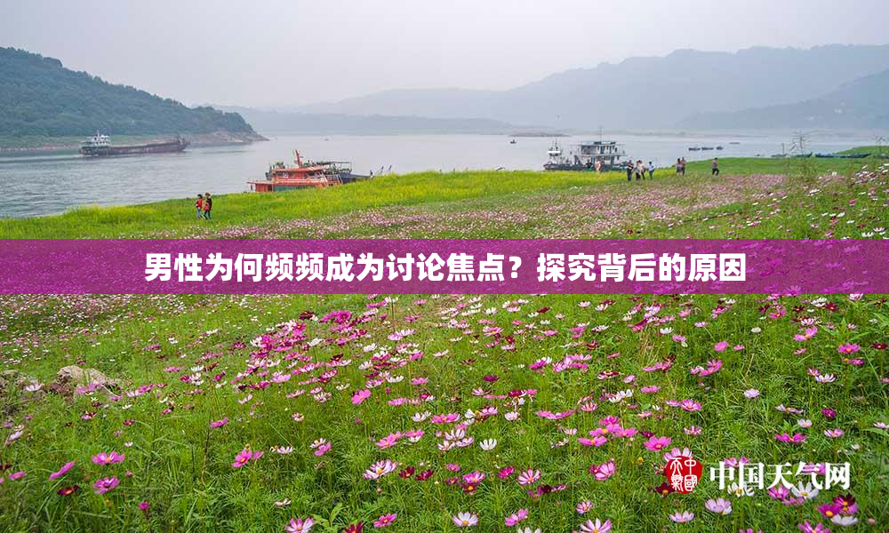男性为何频频成为讨论焦点？探究背后的原因
