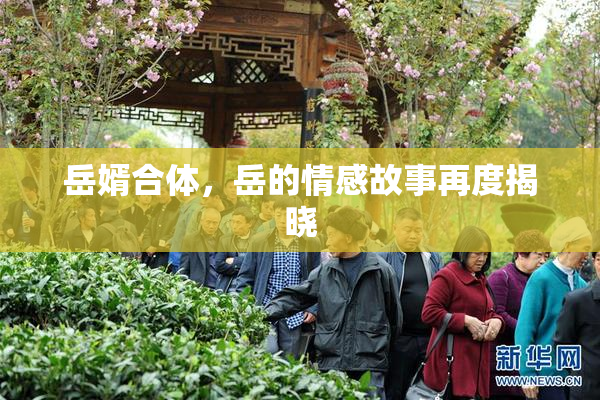 岳婿合体，岳的情感故事再度揭晓