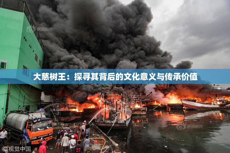 大慈树王：探寻其背后的文化意义与传承价值