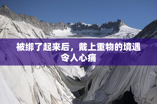 被绑了起来后，戴上重物的境遇令人心痛