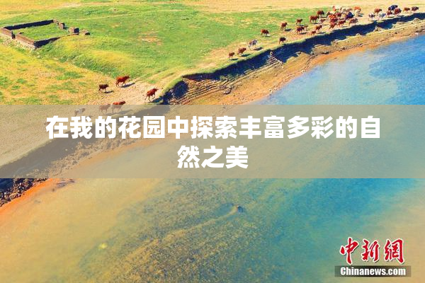 在我的花园中探索丰富多彩的自然之美