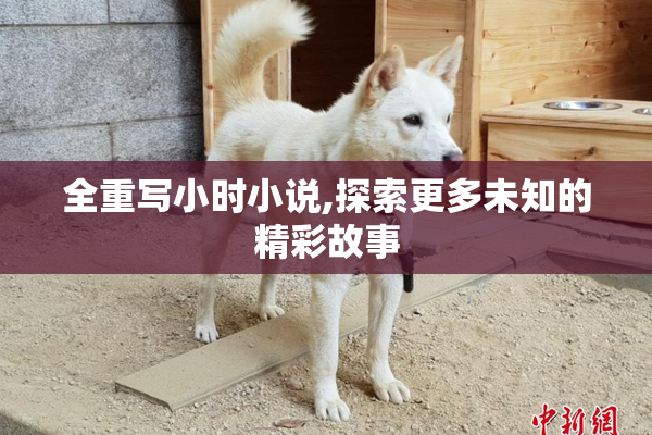 全重写小时小说,探索更多未知的精彩故事