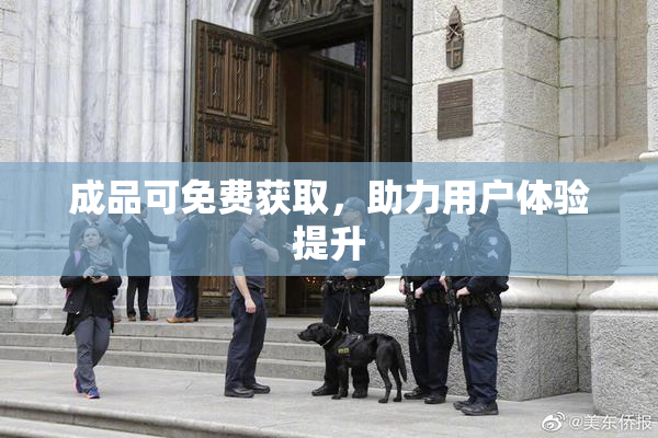 成品可免费获取，助力用户体验提升