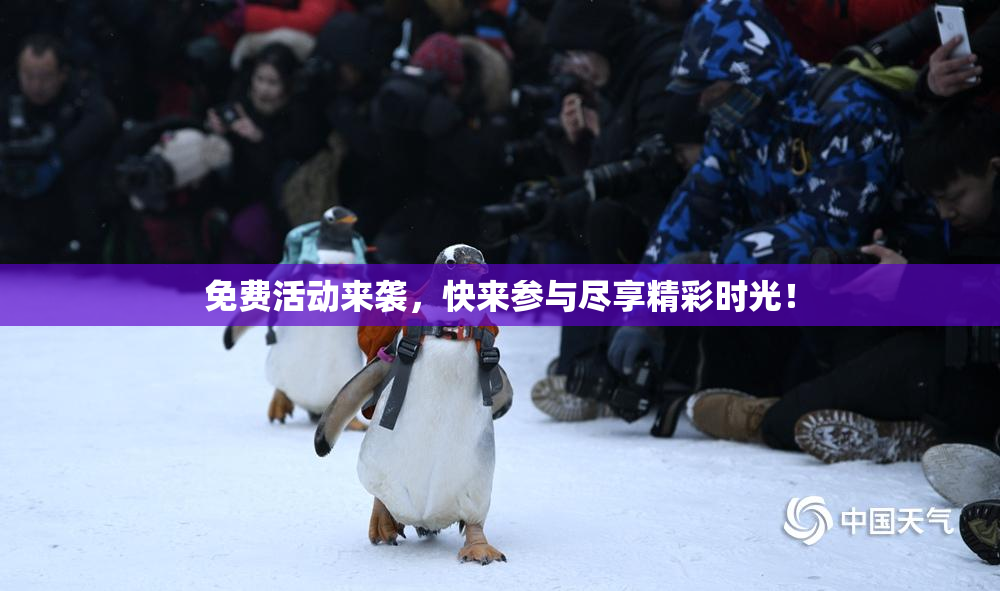 免费活动来袭，快来参与尽享精彩时光！
