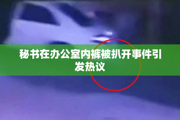 秘书在办公室内裤被扒开事件引发热议