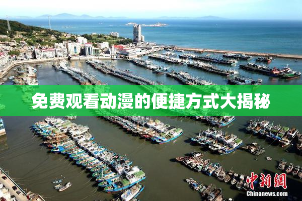 免费观看动漫的便捷方式大揭秘