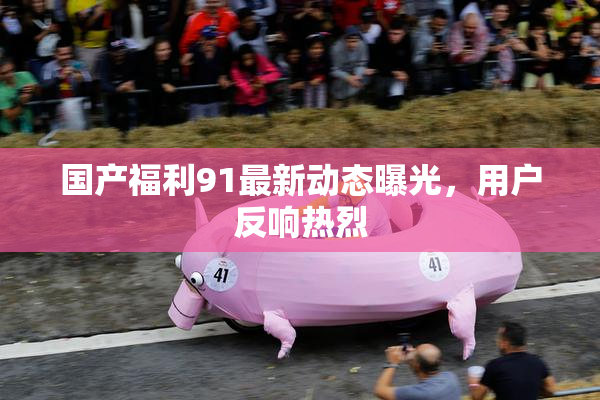 国产福利91最新动态曝光，用户反响热烈