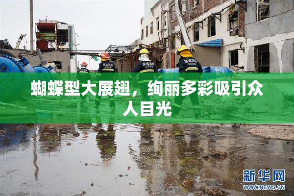蝴蝶型大展翅，绚丽多彩吸引众人目光