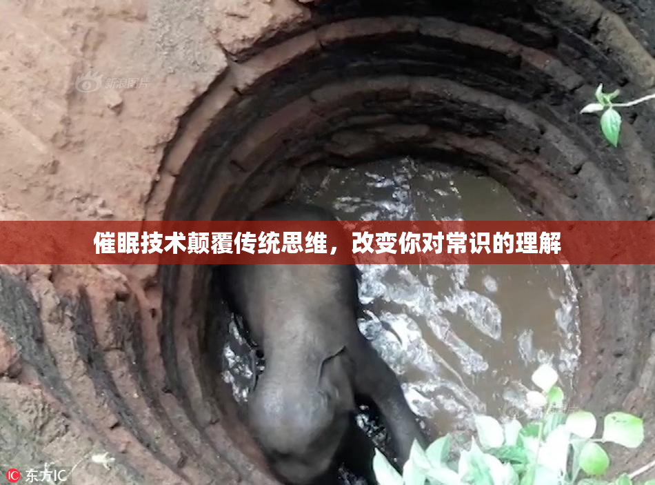 催眠技术颠覆传统思维，改变你对常识的理解