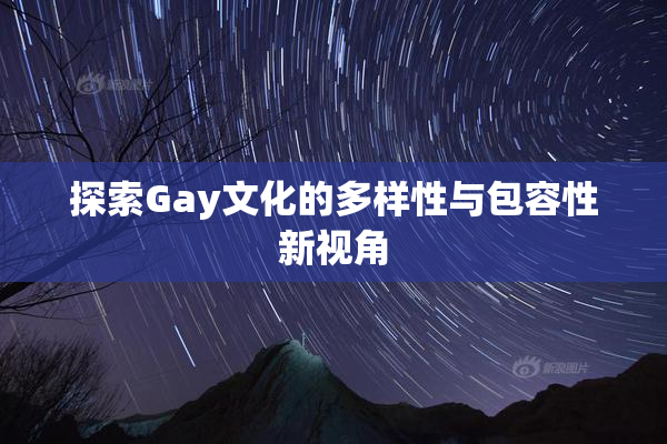 探索Gay文化的多样性与包容性新视角
