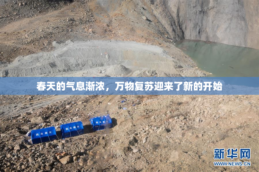 春天的气息渐浓，万物复苏迎来了新的开始