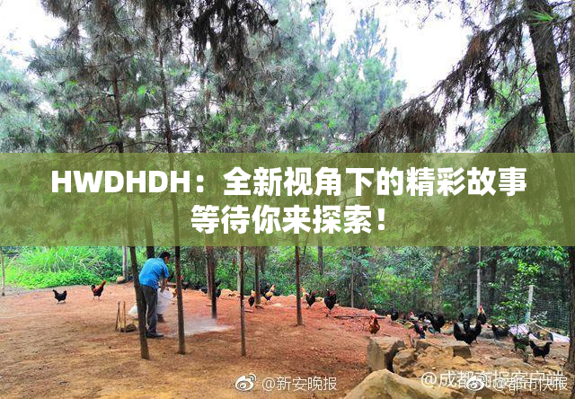 HWDHDH：全新视角下的精彩故事等待你来探索！