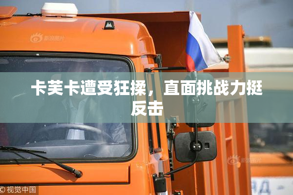 卡芙卡遭受狂揉，直面挑战力挺反击