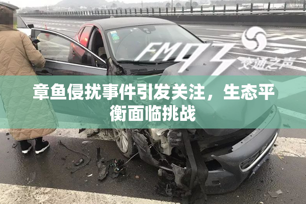 章鱼侵扰事件引发关注，生态平衡面临挑战