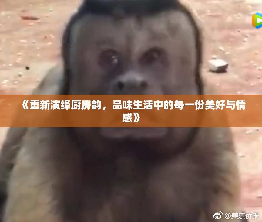 《重新演绎厨房韵，品味生活中的每一份美好与情感》