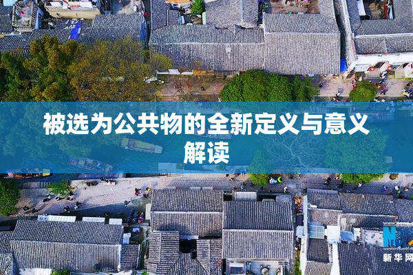 被选为公共物的全新定义与意义解读