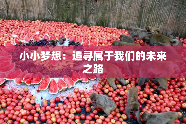 小小梦想：追寻属于我们的未来之路